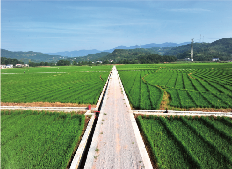 余江县统筹整合资金推进高标准农田建设项目